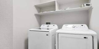 55288 Firestone Gallery 18