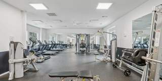 Oak Forest Gallery 15