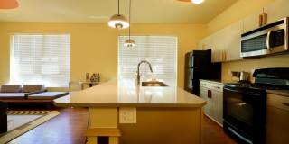 Settlement Place Gallery 353