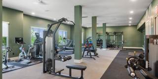 Alta Avondale Gallery 14