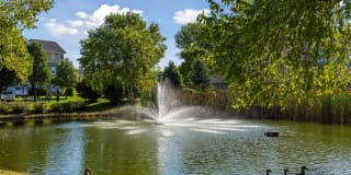 Alexis at Perry Pointe Gallery 30