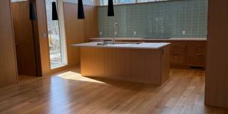 Silver Maple Stunning Gallery 6