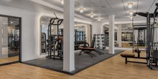 The Hallon Gallery 97