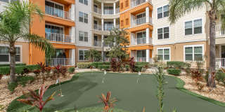 RIZE at Winter Springs Gallery 29