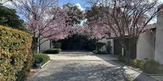 4746 N, San Pablo Gallery 1