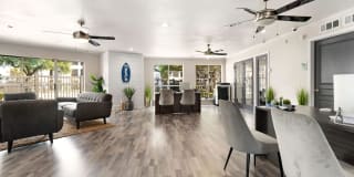 Solmere Dallas Solmere Dallas Gallery 4