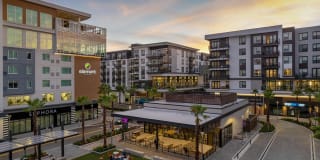 Novel Midtown Tampa Gallery 3