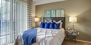 Rio Paradiso Apartment Homes Gallery 11