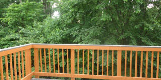 24753 CARBONATE Terrace Gallery 39