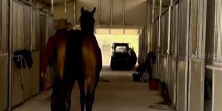 14192 ERMINE OWL ROAD Gallery 1