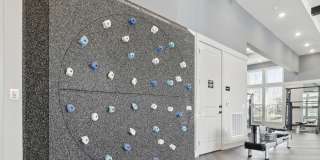 Avida Gallery 19