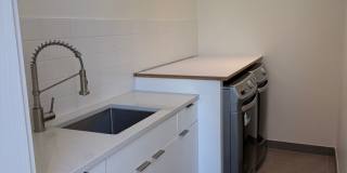 Silver Maple Stunning Gallery 13