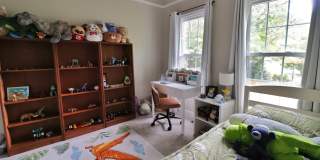 2804 Cove Ridge Road - 1 Gallery 30