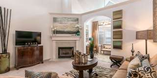 Palmetto Creek Gallery 2