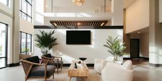 Alvante at Grand National Gallery 8