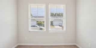 Poplin Trace Gallery 33