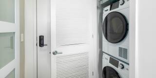 Lex and Leo at Waterfront Station Gallery 11