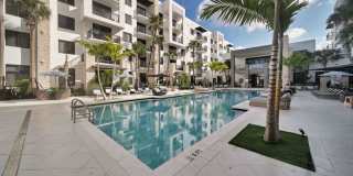 Palmera Gallery 14