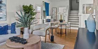 LEO at Cypress Creek Gallery 1