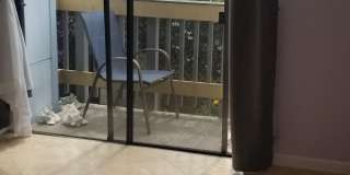 671 Lily Street - Upper level Gallery 20