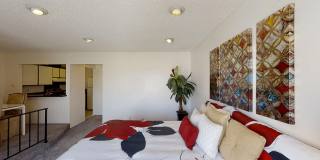 Resort-Style Complex Studio Gallery 24