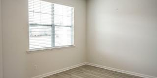 Available Soon! Gallery 7