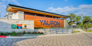 Yaupon by Windsor Gallery 3