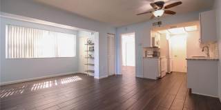 1103 CYPRESS GARDENS BOULEVARD Gallery 11