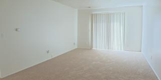 Ambassador Arms Gallery 9