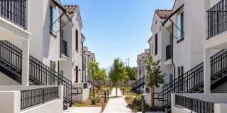 The Charlie Perris Gallery 11