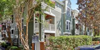 1021 Nicholwood Drive Gallery 1