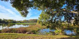 Furnished 2-Bedroom, 2-Bathroom Condo in Tampa Gallery 24