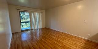 Nice Cozy 1 Bedroom Condo !!! Gallery 6