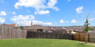 2209 Sea Eagle Gallery 26