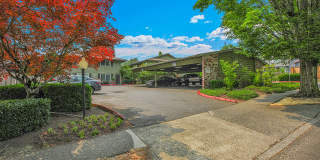 The Firs Apartments Gallery 1
