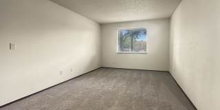 Freshly Updated 2 Bed, 2 Bath Condo for Rent in Denver Gallery 13