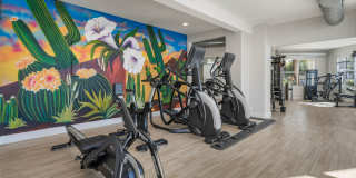 Emory Old Town Gallery 20