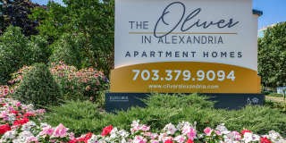 The Oliver in Alexandria Gallery 14