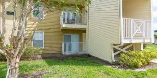 Ground Floor 1 Bedroom 1 Bath for Rent in Brandon, FL Ground Floor 1 Bedroom 1 Bath for Rent in Brandon, FL Gallery 1