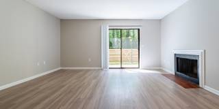 Rosen at North Hills Gallery 6