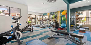 The Bella Gallery 14