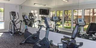 Monte Vista Apartments Gallery 9