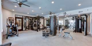 Park South Gallery 20