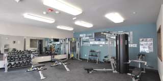 1 Bedroom - 1 Bathroom Apartment for Rent! 1 Bedroom - 1 Bathroom Apartment for Rent! Gallery 21