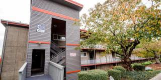 The Aviator apartments Gallery 38