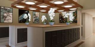 Ellison Nona Apartments Gallery 33