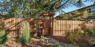Park at Allen Gallery 25