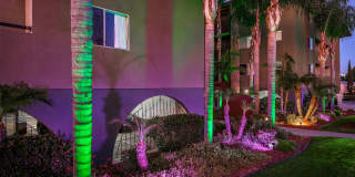Penthouse Gallery 3