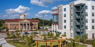 The Local Sugar Hill Gallery 22