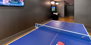 Avalon Dunn Loring Gallery 19